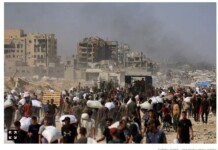 Face aux critiques : le nombre de bébés nés dans la bande de Gaza pendant la guerre est révélé