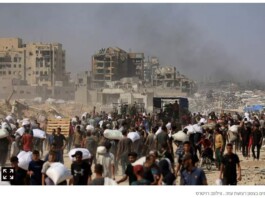 Face aux critiques : le nombre de bébés nés dans la bande de Gaza pendant la guerre est révélé