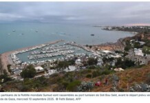 La Tunisie estime que l’attaque contre la flottille pour Gaza était une « agression préméditée »
