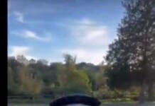 En Virginie, des étudiants musulmans rejouent des enlèvements de Juifs : la vidéo qui horrifie l’Amérique