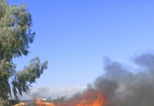 Israël frappe au cœur du Hezbollah : le commandant Ali Hussein al-Moussawi éliminé à Baalbek