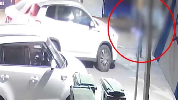 dkfjdkjgkjg55_autoOrient_w