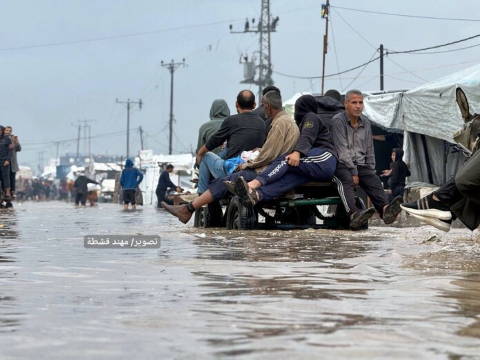 photo_2025-11-25_17-04-34