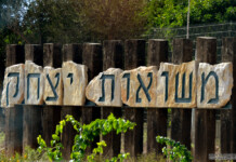 Exit spectaculaire pour un petit moshav israélien : 33 millions de shekels et une action en envolée
