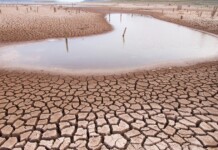 Assoiffée de haine : l’histoire méconnue derrière la catastrophe de l’eau en Iran