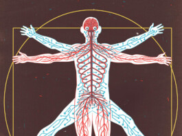 Les personnes que nous deviendrons après l’IA