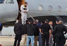 À bord d’un avion privé en provenance des États-Unis : la vérité derrière la photo qui a secoué l’aéroport Ben Gourion