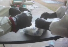 États-Unis : découverte d’un laboratoire biologique illégal à Las Vegas, des agents hautement dangereux identifiés