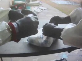 États-Unis : découverte d’un laboratoire biologique illégal à Las Vegas, des agents hautement dangereux identifiés