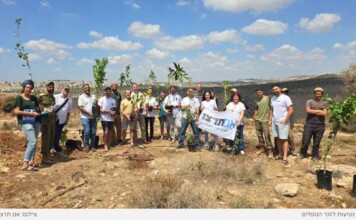 Le « djihad vert » : quand les arbres deviennent une arme stratégique contre Israël