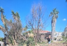 Un missile s’écrase entre deux maisons dans un moshav du centre d’Israël : des images saisissantes, mais aucune victime