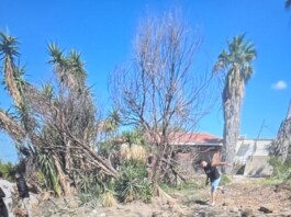 Un missile s’écrase entre deux maisons dans un moshav du centre d’Israël : des images saisissantes, mais aucune victime