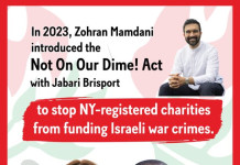 À New York, une loi relancée pour interdire aux associations de financer ce qu’elles appellent des « crimes de guerre israéliens »