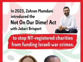 À New York, une loi relancée pour interdire aux associations de financer ce qu’elles appellent des « crimes de guerre israéliens »