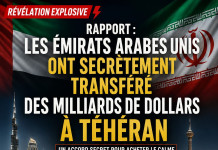 Rapport : les Émirats arabes unis ont secrètement transféré des milliards de dollars à Téhéran