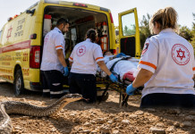 Une femme de 48 ans dans un état grave après avoir été mordue par un serpent à Rishon LeTsion