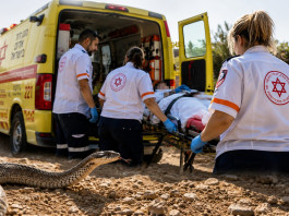 Une femme de 48 ans dans un état grave après avoir été mordue par un serpent à Rishon LeTsion