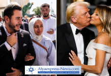 El-Sayed pique le mariage de Trump : « Un amour un peu chaotique »