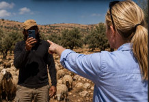 Journaliste ou militante ? Une « reporter » de CNN interpelle un berger israélien devant la caméra