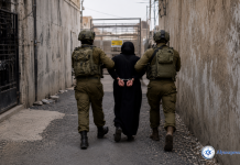 🚨🇵🇸 Attentat au couteau déjoué : Tsahal arrête une femme armée à Ganot
