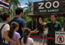 Une famille israélienne refoulée d’un zoo de Koh Samui après avoir dit « Israël » : le père frappé d’un coup de tête devant ses filles