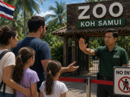 Une famille israélienne refoulée d’un zoo de Koh Samui après avoir dit « Israël » : le père frappé d’un coup de tête devant ses filles