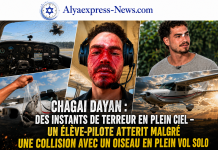 Chagai Dayan : des instants de terreur en plein ciel — un élève-pilote atterrit malgré une collision avec un oiseau en plein vol solo