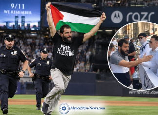 L’homme qui a envahi le terrain du Yankee Stadium avec un drapeau palestinien à 21h11 le 11-Septembre a été identifié
